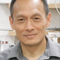 Wilson Ho image